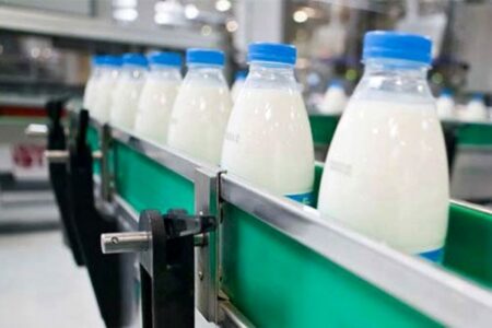 تولید ۲۵ هزار تن شیر در نیر