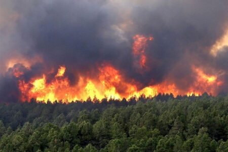 آتش‌سوزی در حاشیه جنگل‌های فندقلو نمین مهار شد