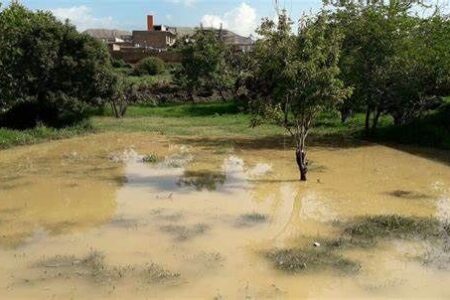 خسارت ۵۶۰ میلیارد ریالی حوادث غیرمترقبه به کشاورزی استان اردبیل