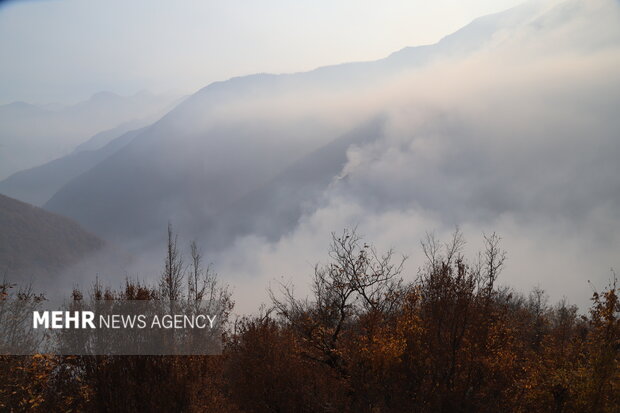 آتش جنگل‌های الیت خاموش شده است