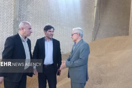 نمین در مسیر جهش کشاورزی؛ از افزایش تولید گندم تا کاشت کاملینا